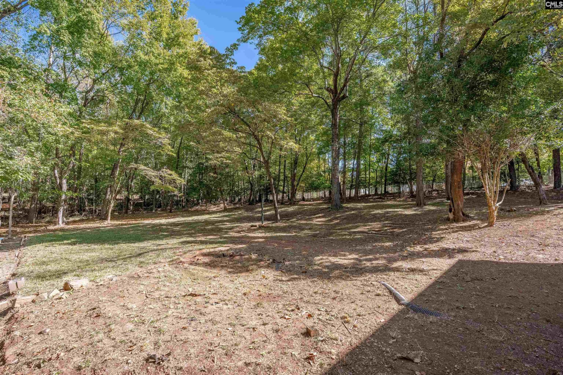 105 Deer Tract Drive  Photo 53