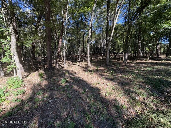 0 Town Creek Rd, Lenoir City, TN 37772