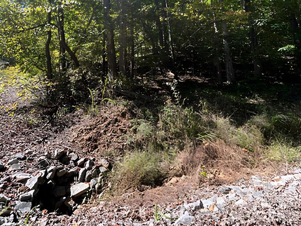 000 Park Trail , Love Valley, NC 28625