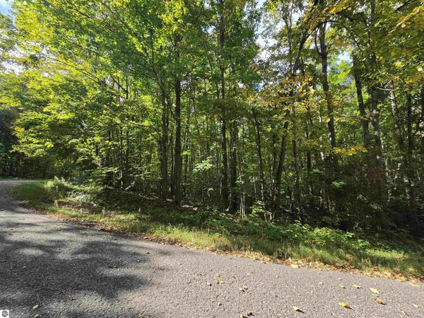 400 Dellwood Circle, Elmira, MI 49730