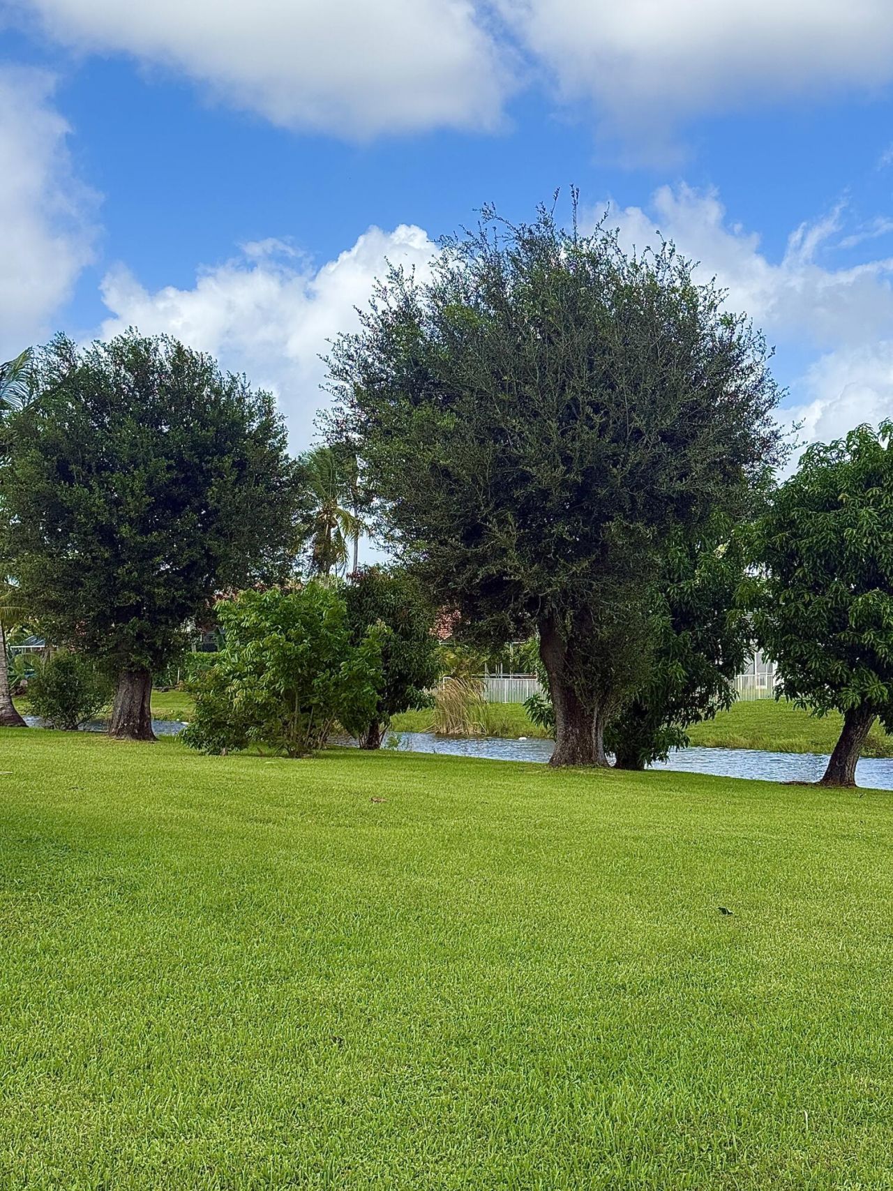 15580 Meadow Wood Drive, Wellington, FL 33414 Photo