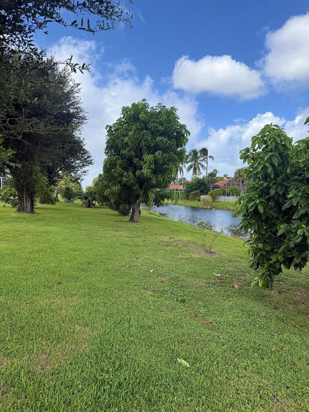 15580 Meadow Wood Drive, Wellington, FL 33414 Photo