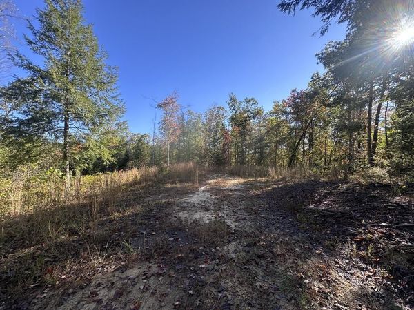137 Laurel Rd, Jamestown, TN 38556