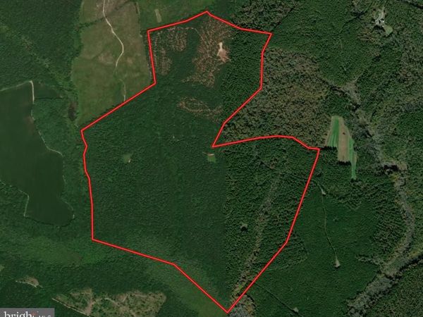 POPLAR GROVE ROAD , CENTER CROSS, VA 22437