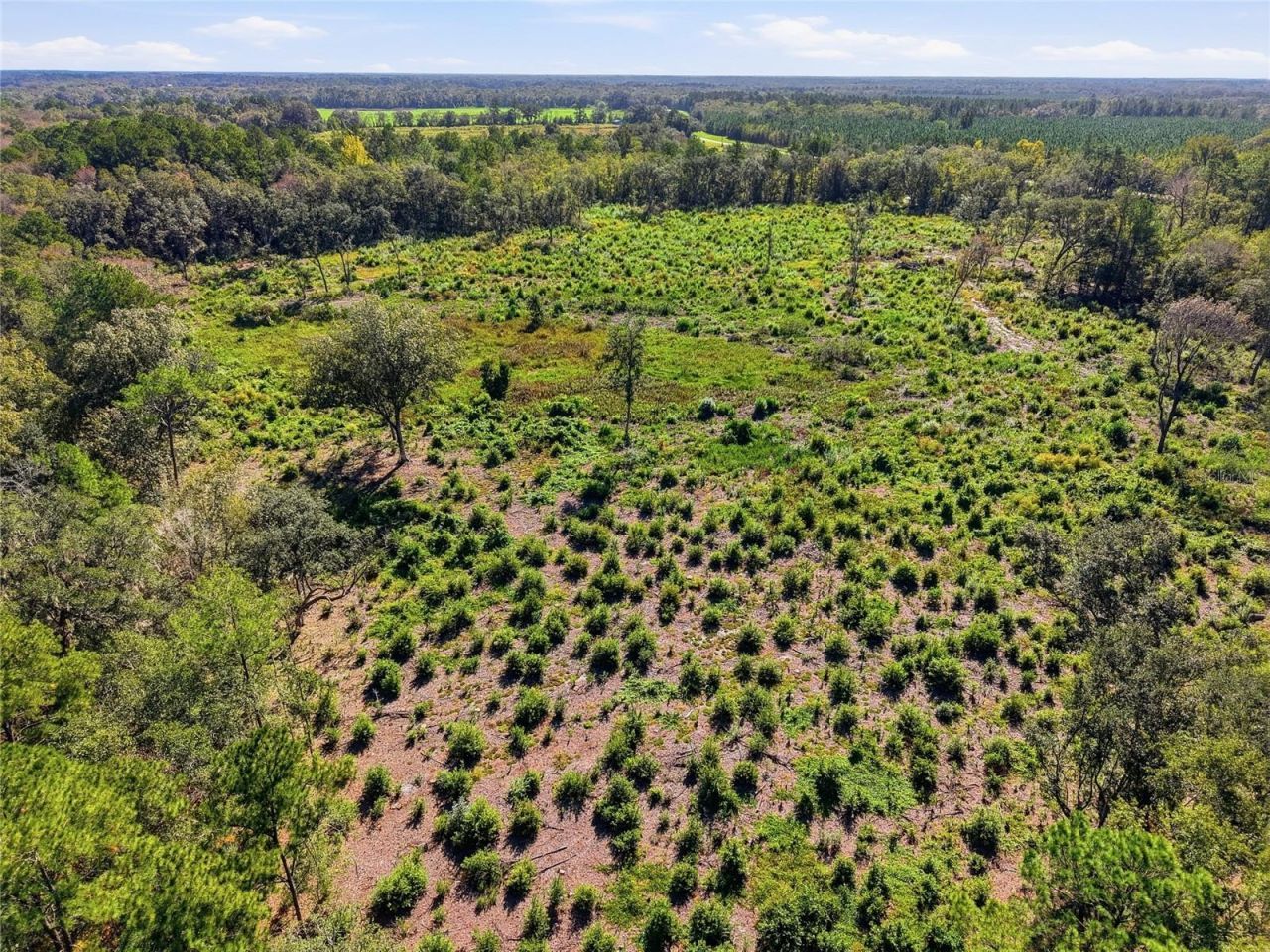 4408 W State Road 235 , La Crosse, FL 32658 Photo