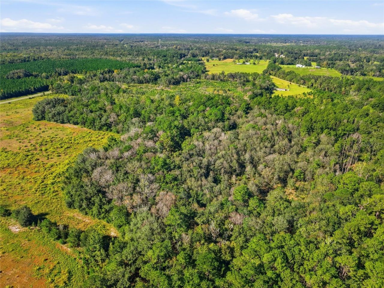 4408 W State Road 235 , La Crosse, FL 32658 Photo