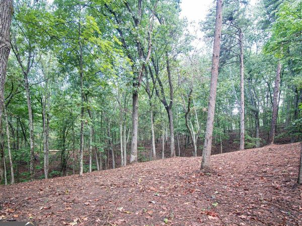 480 Pin Hook Road, Ranger, GA 30734
