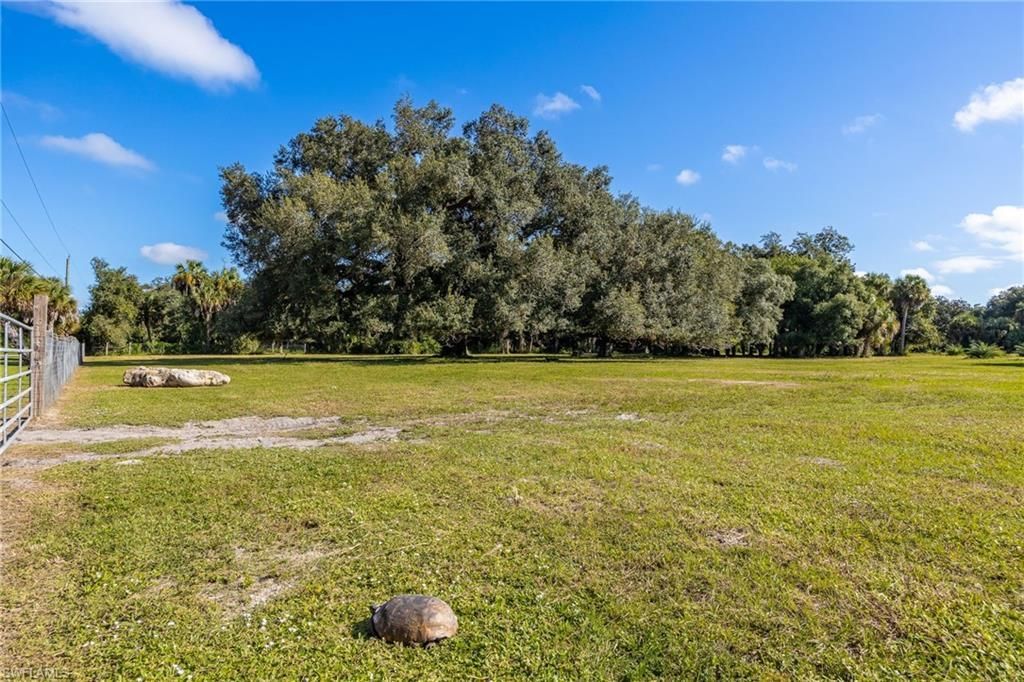 3251 Bateman Rd, Alva, FL 33920 Photo