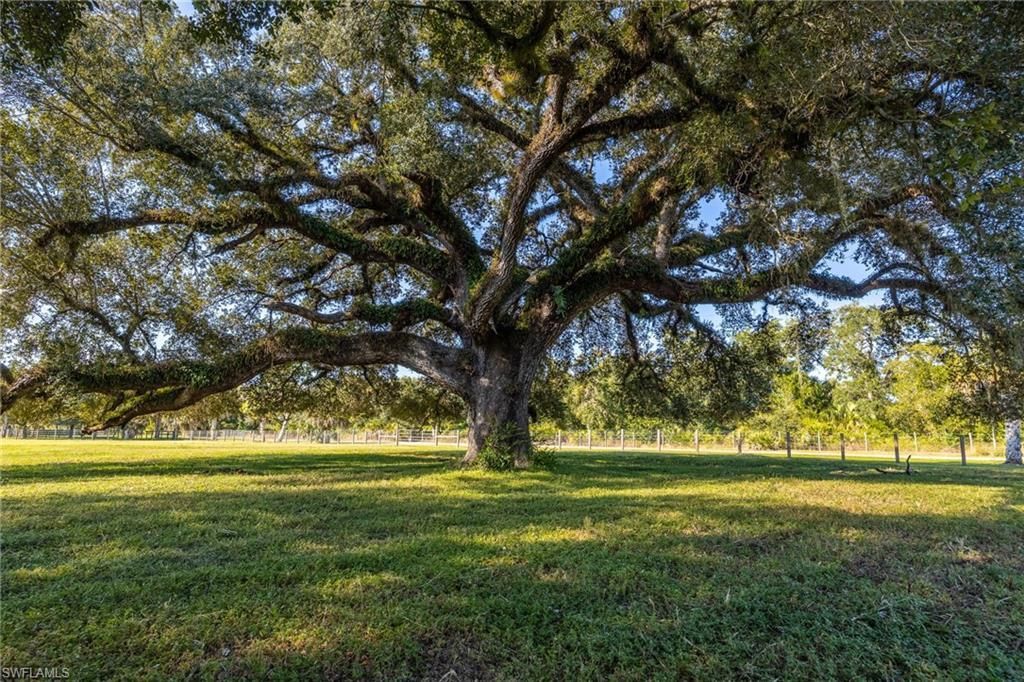 3251 Bateman Rd, Alva, FL 33920 Photo