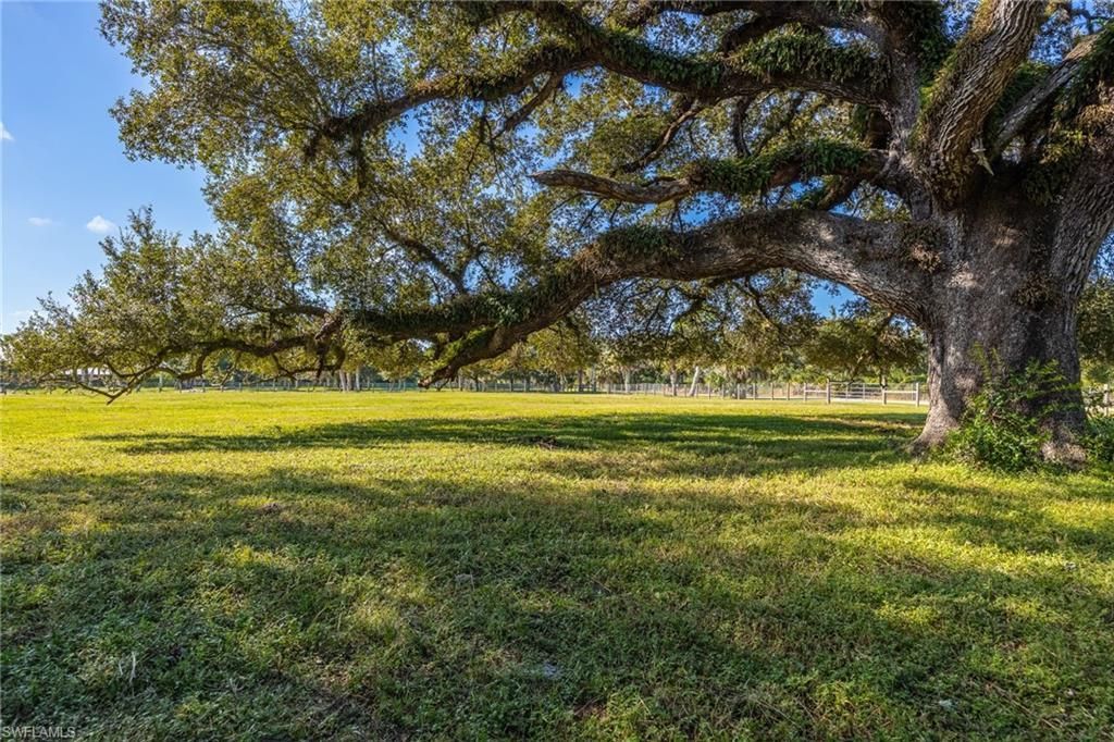 3251 Bateman Rd, Alva, FL 33920 Photo