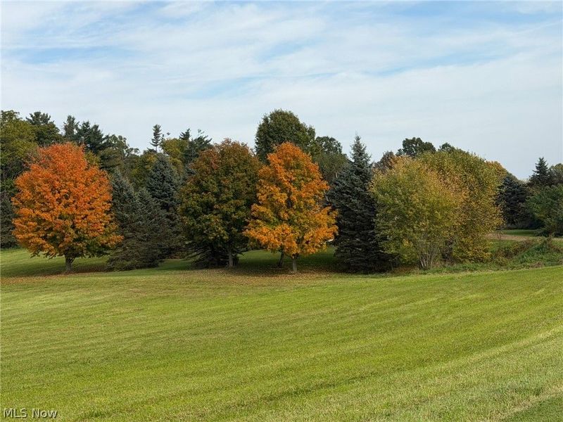 11341 Stratton Road, Salem, OH 44460 Photo 3