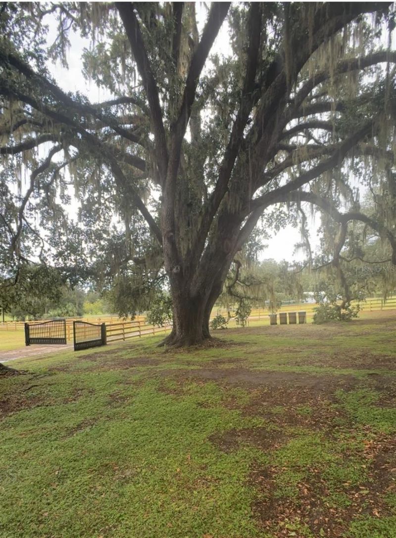 2930 Griffin Avenue , Lady Lake, FL 32159 Photo