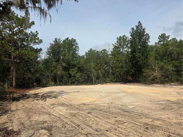 16147 SHELDRAKE LOOP , WEEKI WACHEE, FL 34614