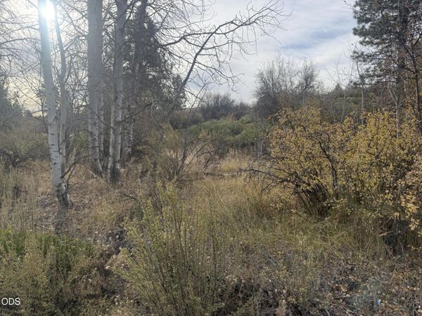 000 Forest View Drive, Chiloquin, OR 97624