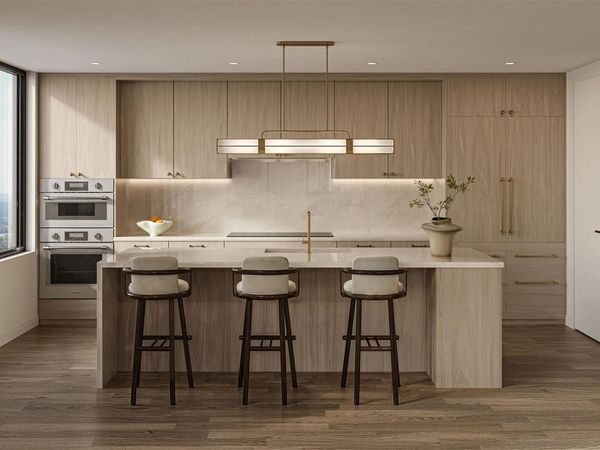 300 Pressler ST , Unit 203, Austin, TX 78703