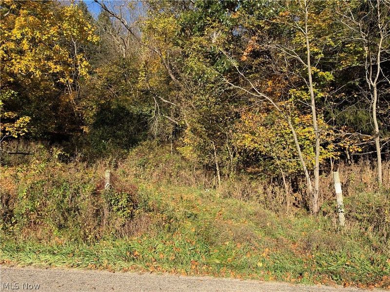 9239 Angel Valley Road SW, Stone Creek, OH 43840 Photo 12