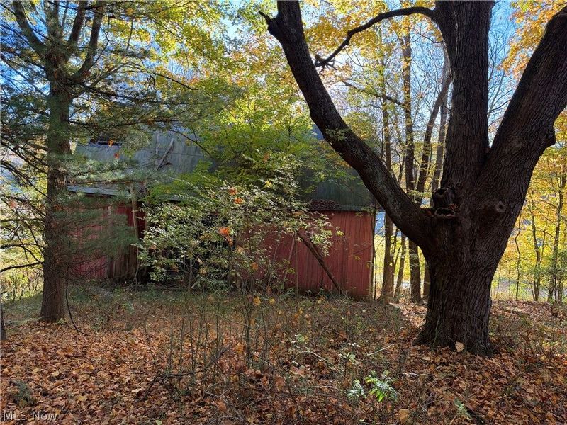 9239 Angel Valley Road SW, Stone Creek, OH 43840 Photo 3