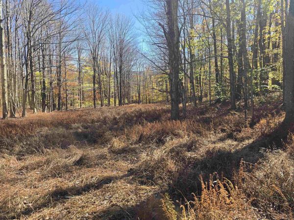 Lot 53 Bobcat Road, Davis, WV 26260