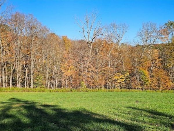 1100 Courtney Hill Road , Marathon, NY 13803