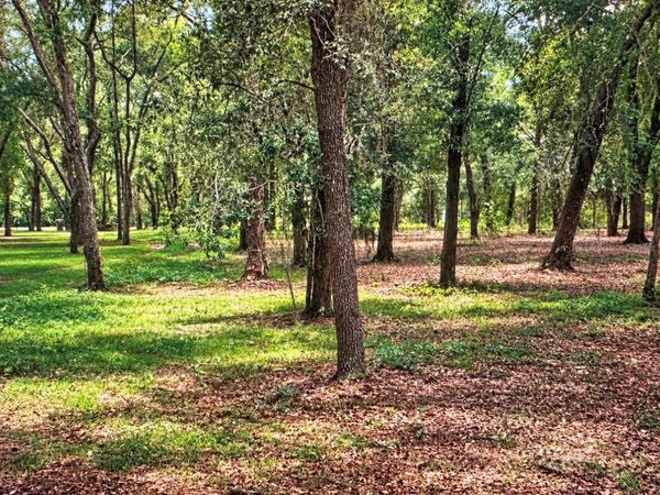 ROLLING ARES ROAD , LADY LAKE, FL 32159