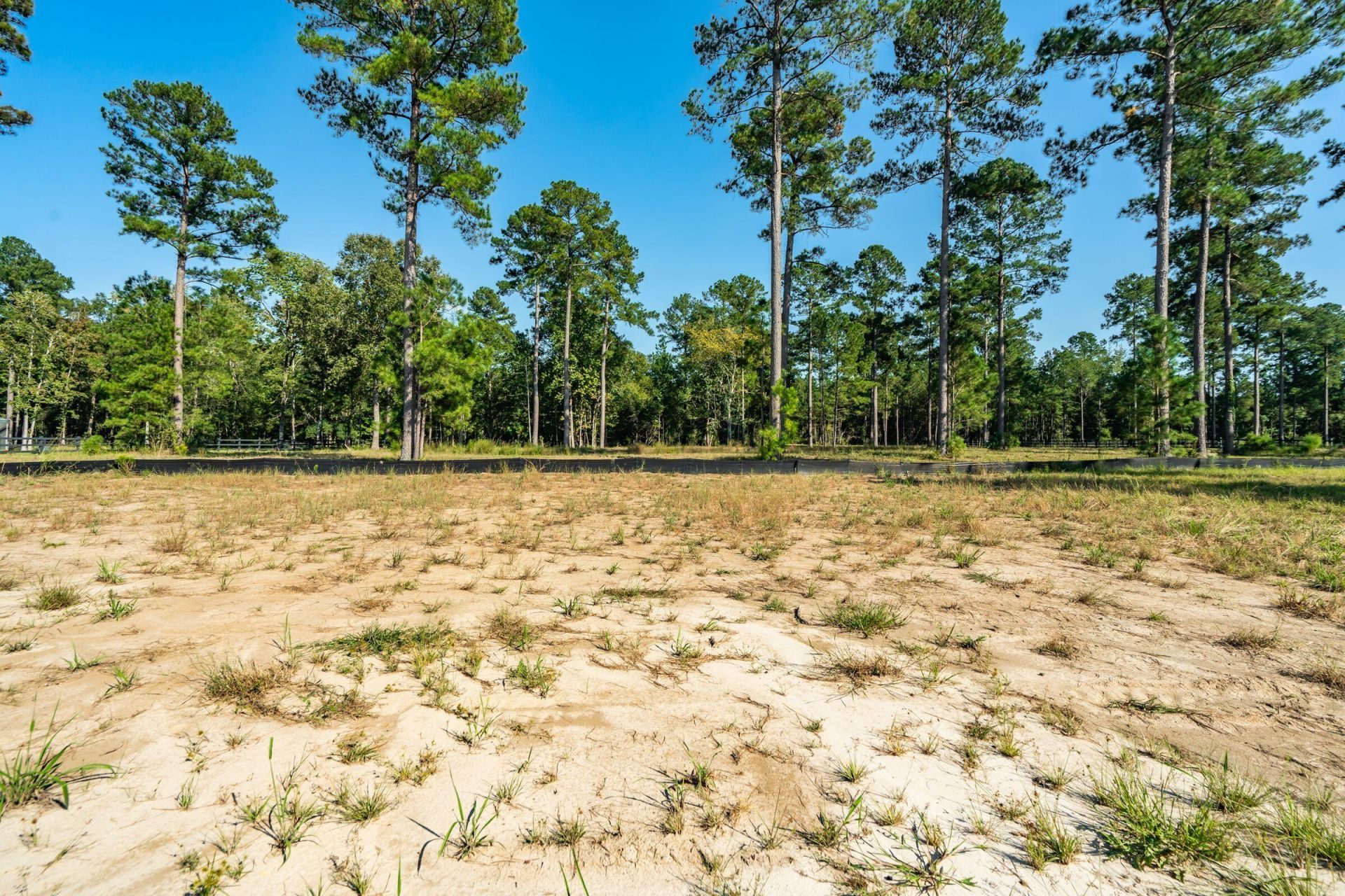 150 Bradley Pasture Way Photo 42