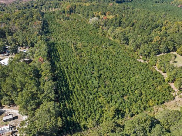 Tract 2 Scholl Rd , Hamlet, NC 28345