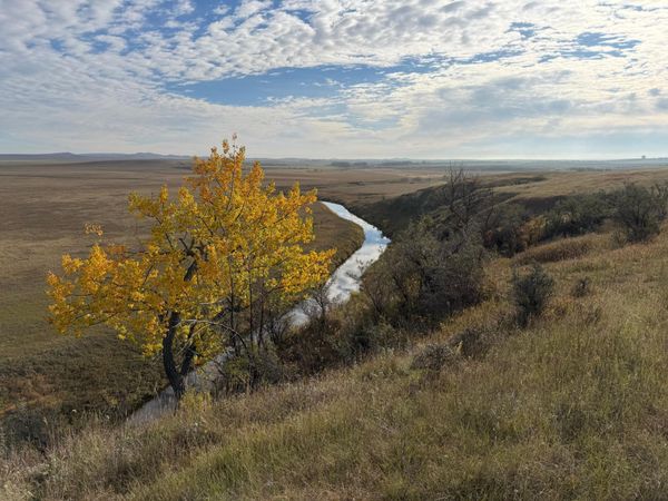 TBD 14th St NE , Hettinger, ND 58639