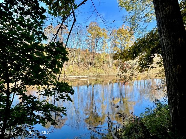 Tbd Berme Road, Kerhonkson, NY 12446