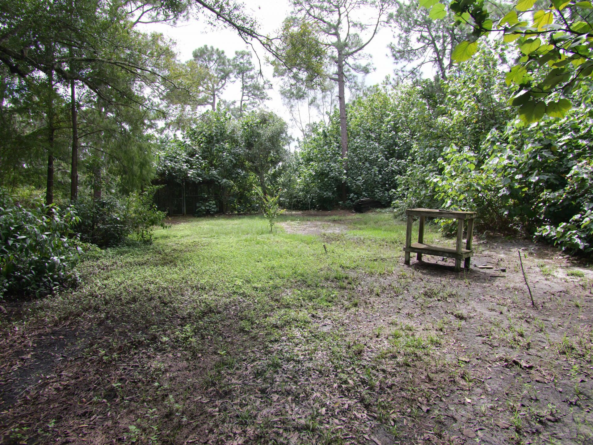 17032 130th Avenue N, Jupiter Farms, FL 33478 Photo