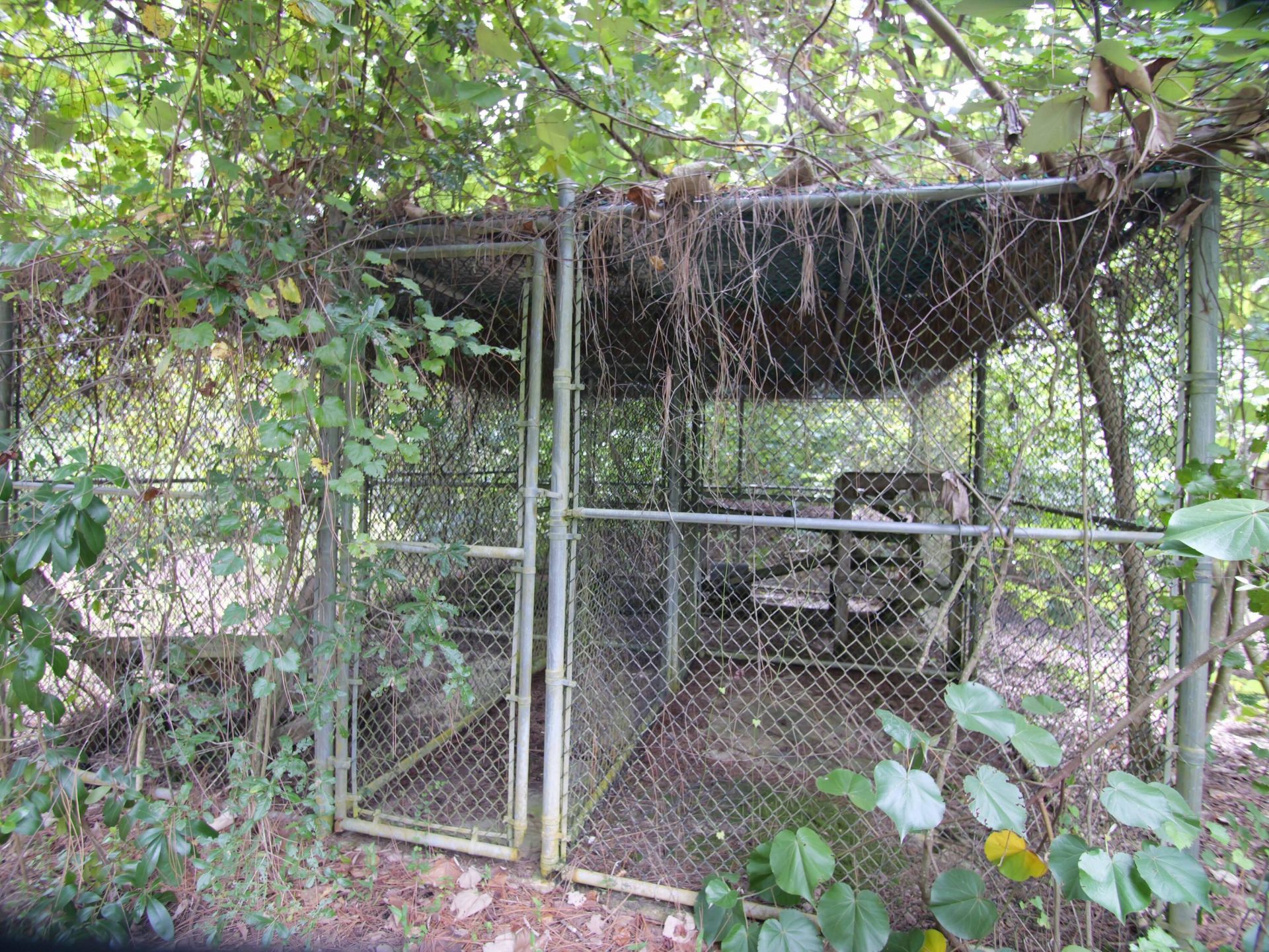 17032 130th Avenue N, Jupiter Farms, FL 33478 Photo