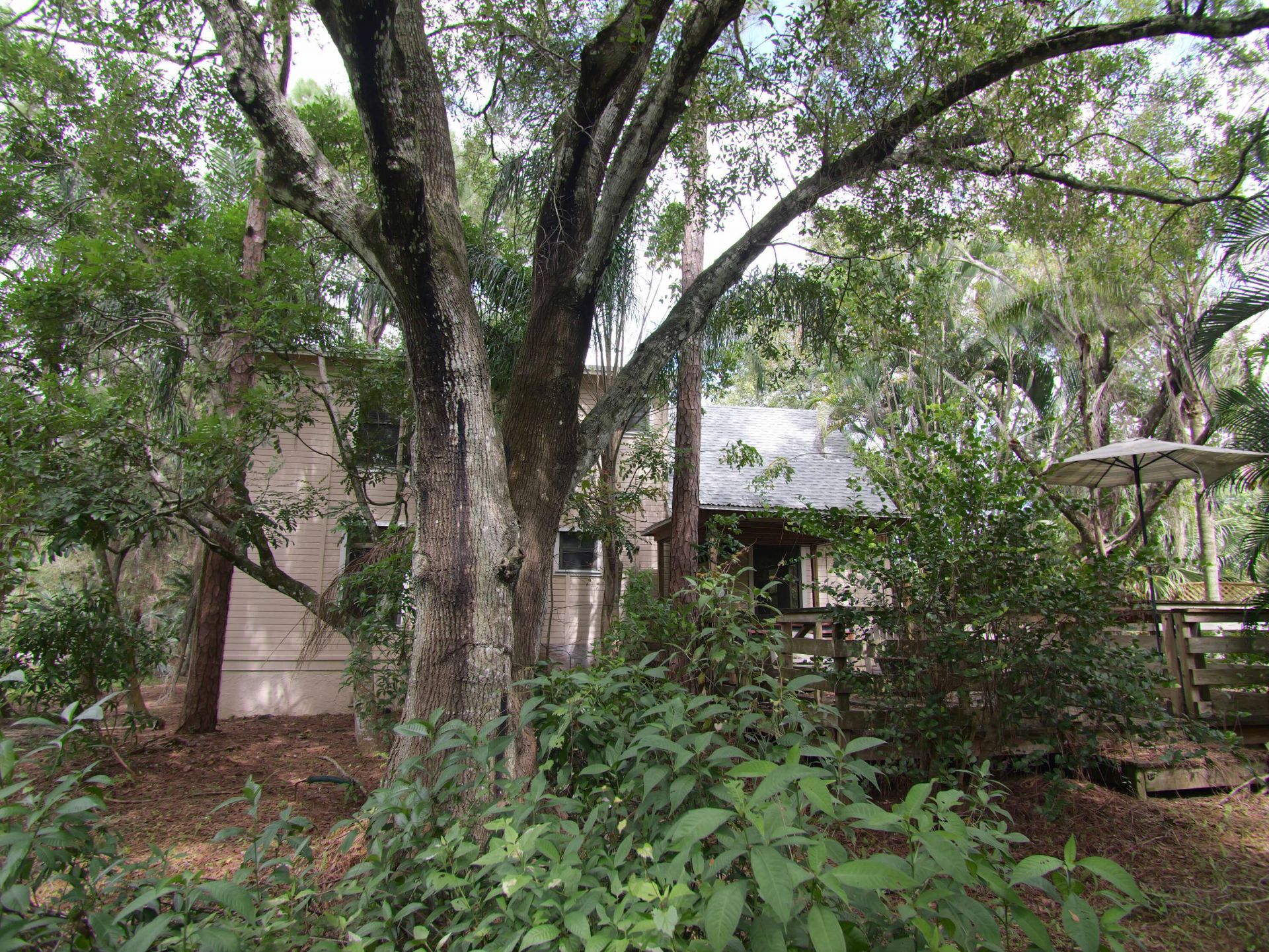 17032 130th Avenue N, Jupiter Farms, FL 33478 Photo
