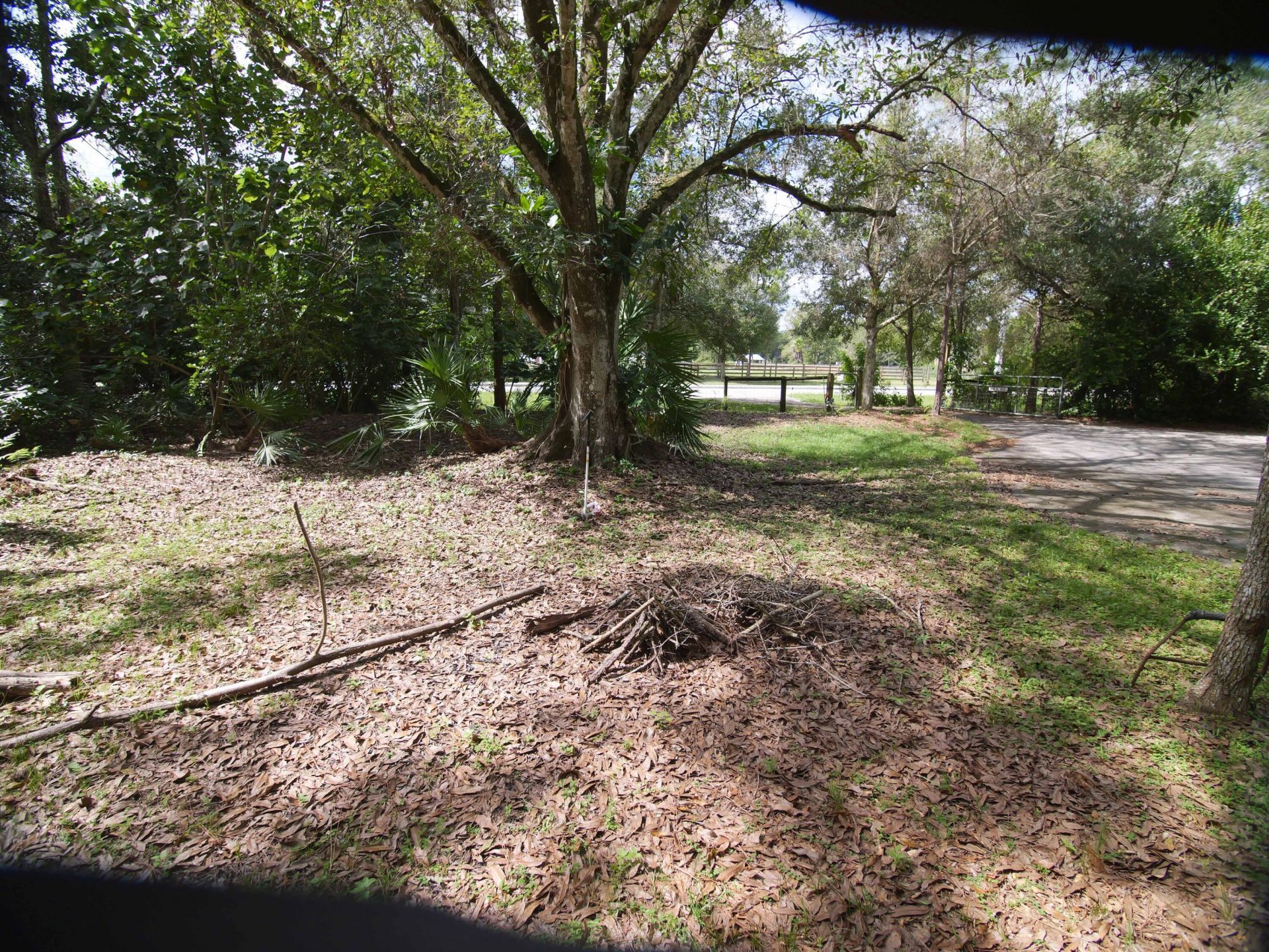 17032 130th Avenue N, Jupiter Farms, FL 33478 Photo