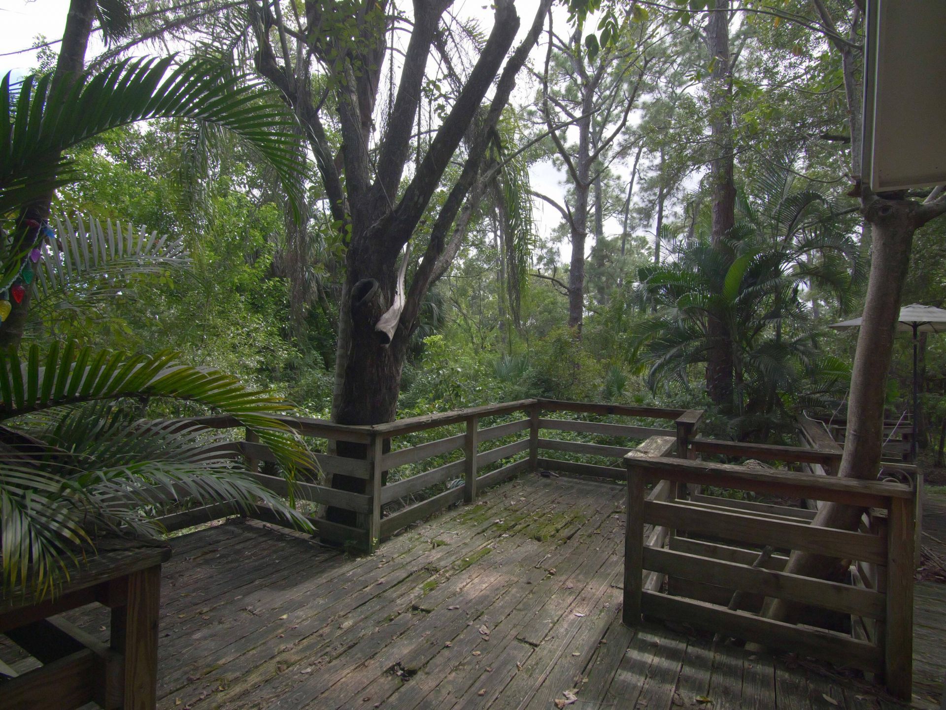 17032 130th Avenue N, Jupiter Farms, FL 33478 Photo
