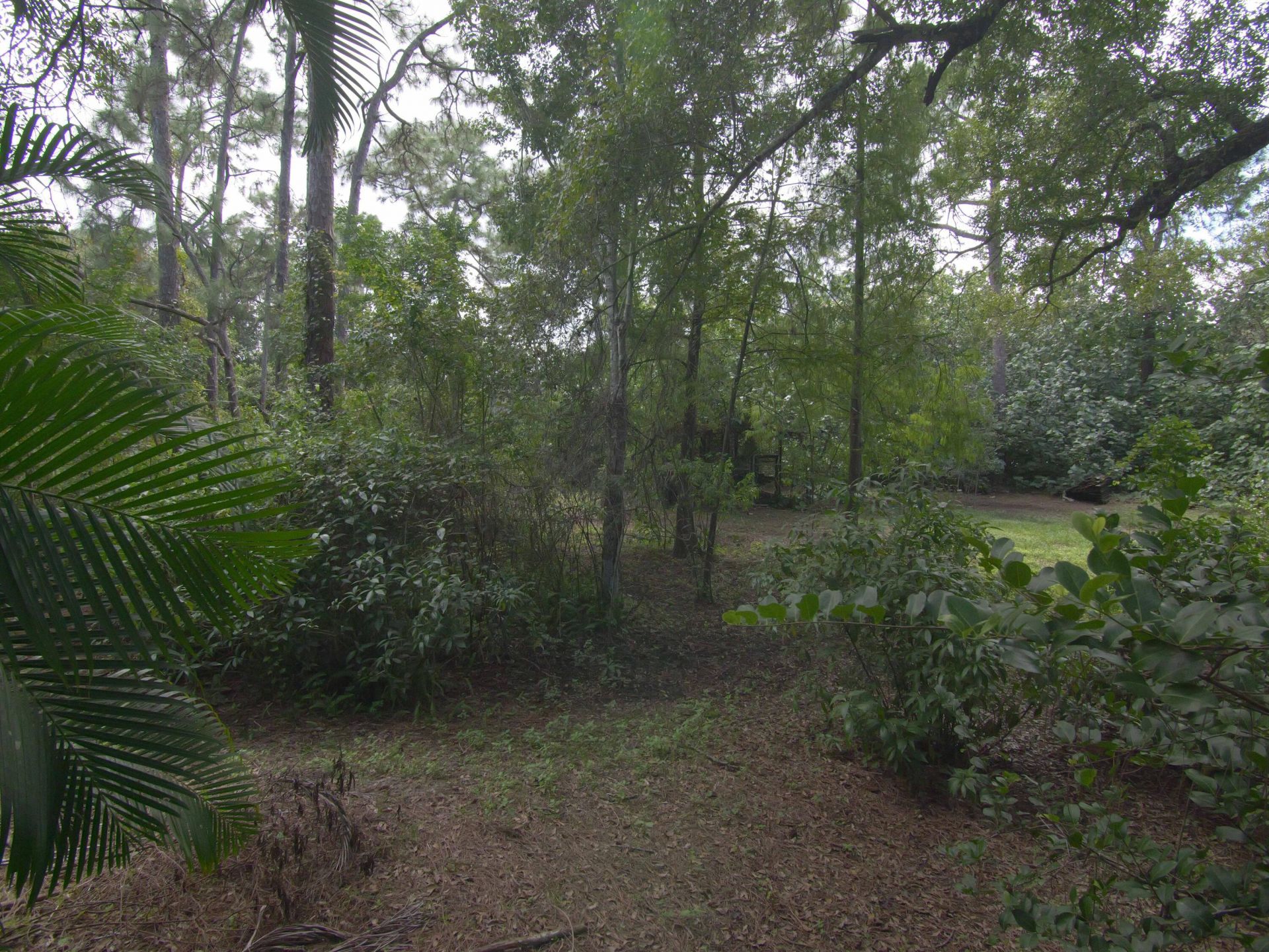 17032 130th Avenue N, Jupiter Farms, FL 33478 Photo