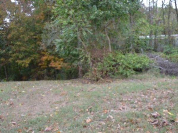 0 Cummins Ct , Celina, TN 38551