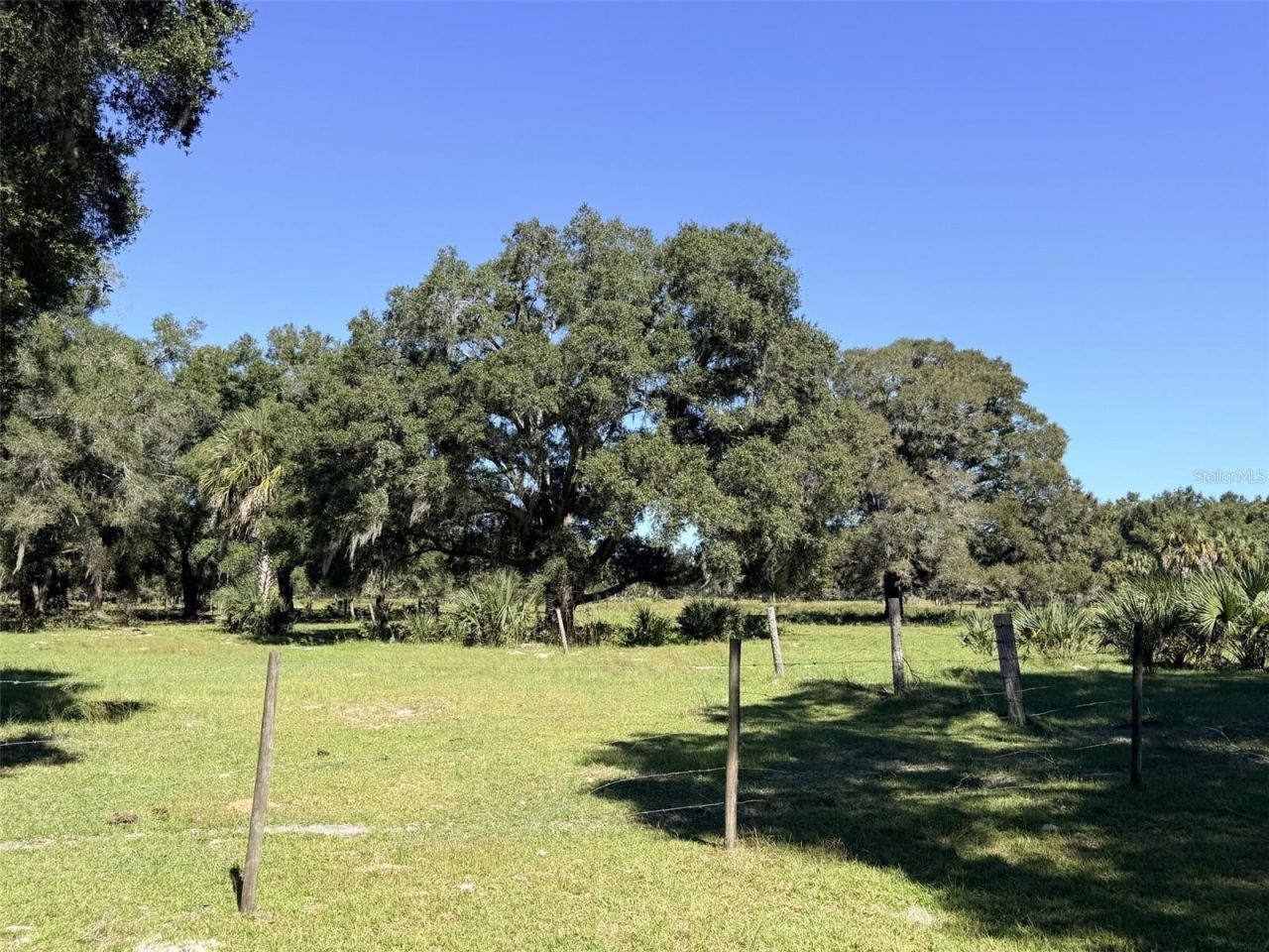 4251 NW 100th Avenue , Chiefland, FL 32626 Photo