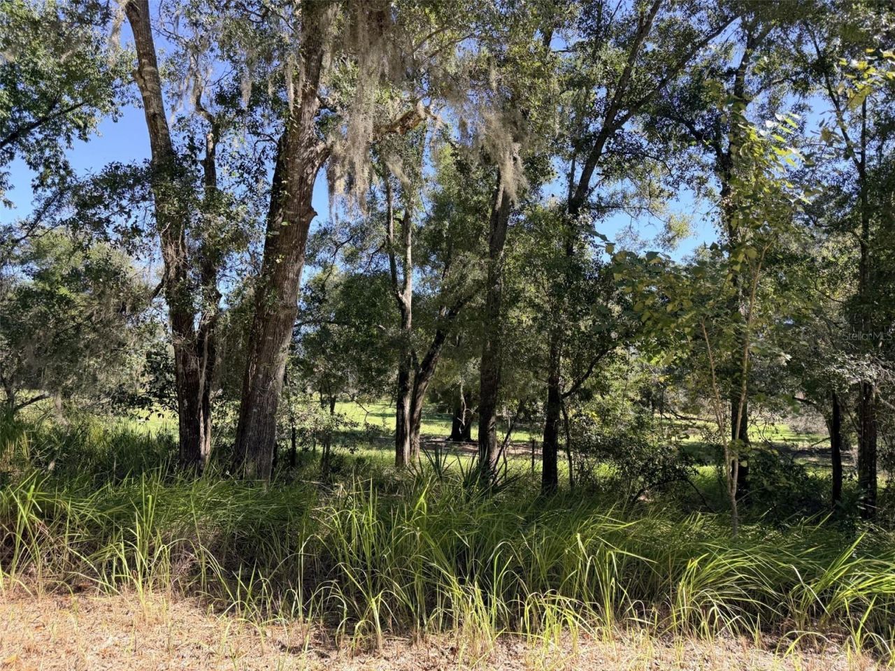 4251 NW 100th Avenue , Chiefland, FL 32626 Photo