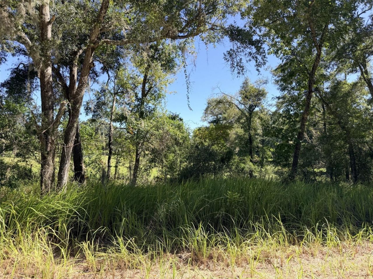 4251 NW 100th Avenue , Chiefland, FL 32626 Photo