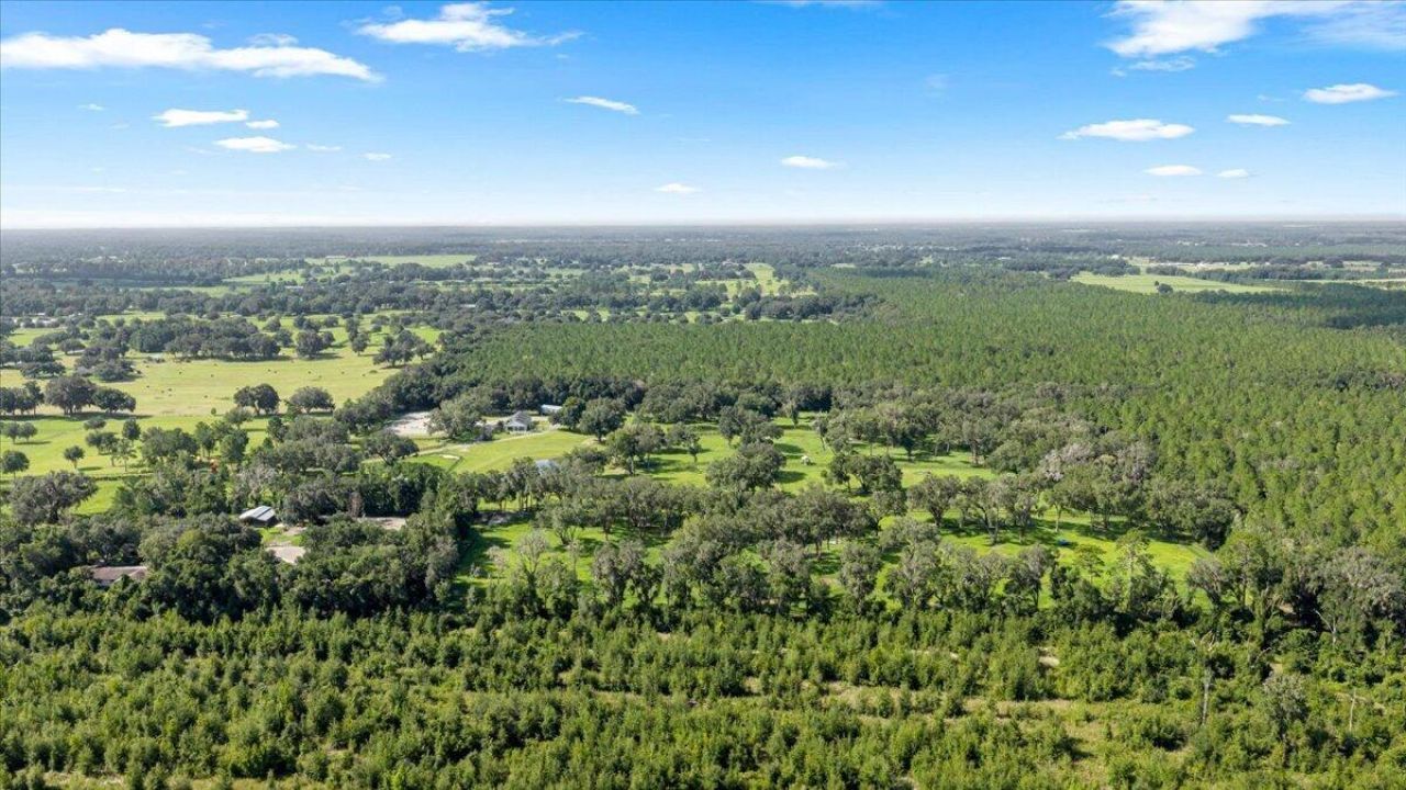 11140 NW 160th Avenue, Morriston, FL 32668 Photo