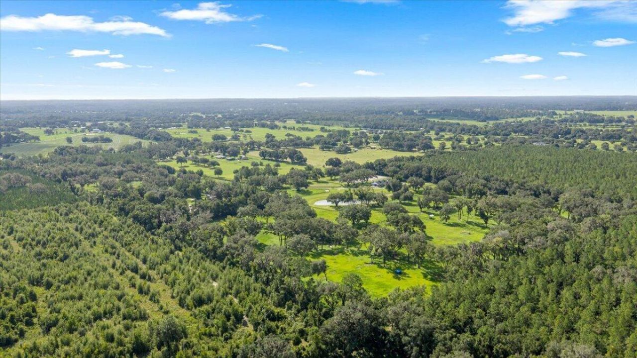 11140 NW 160th Avenue, Morriston, FL 32668 Photo