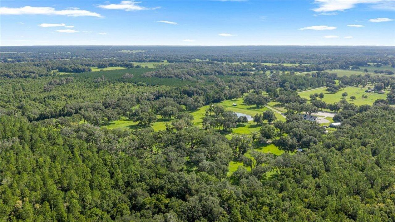 11140 NW 160th Avenue, Morriston, FL 32668 Photo