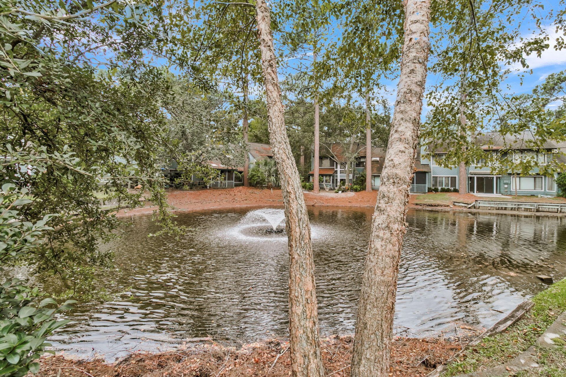 1105 Hidden Cove Drive Photo 37