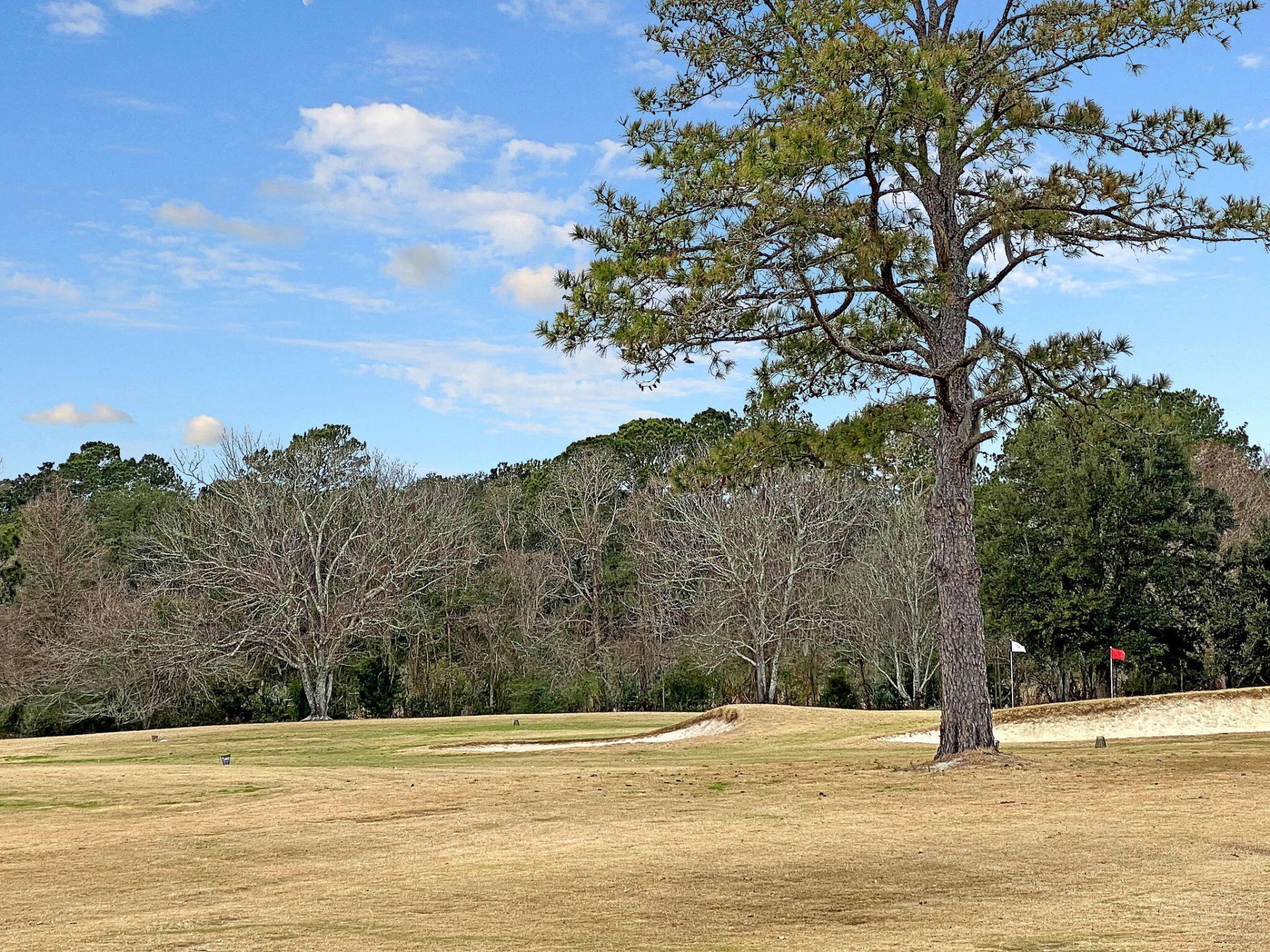 1105 Hidden Cove Drive Photo 45