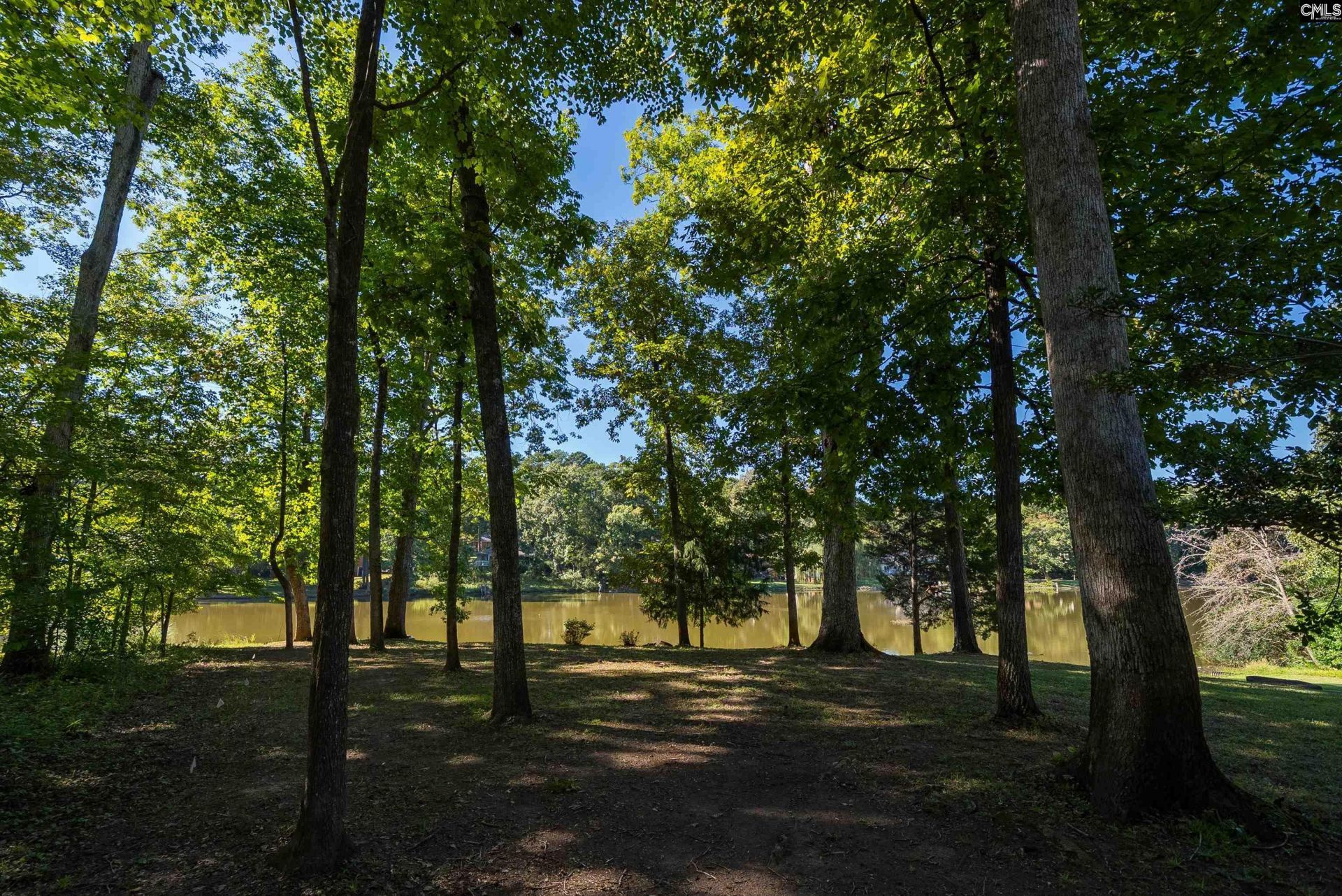 333 Hunters Blind Drive  Photo 47