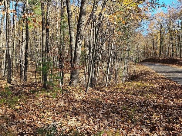 Lot 1 Goss Road, Hayward, WI 54843