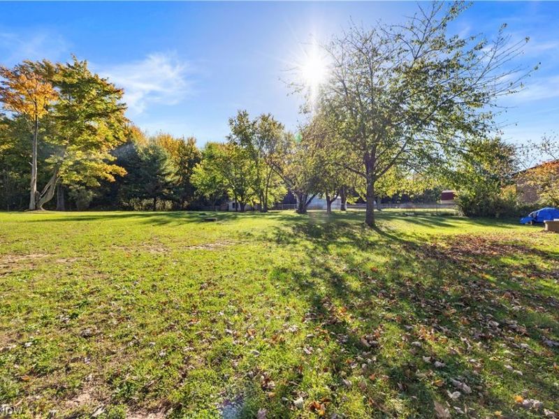 7833 Baumhart Road, Amherst, OH 44001 Photo 4