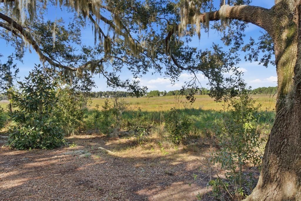 467 Long And Winding Road, Howey in the Hills, FL 34737 Photo