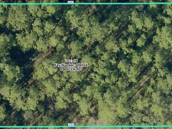 18379 MACEK ROAD , WEEKI WACHEE, FL 34614