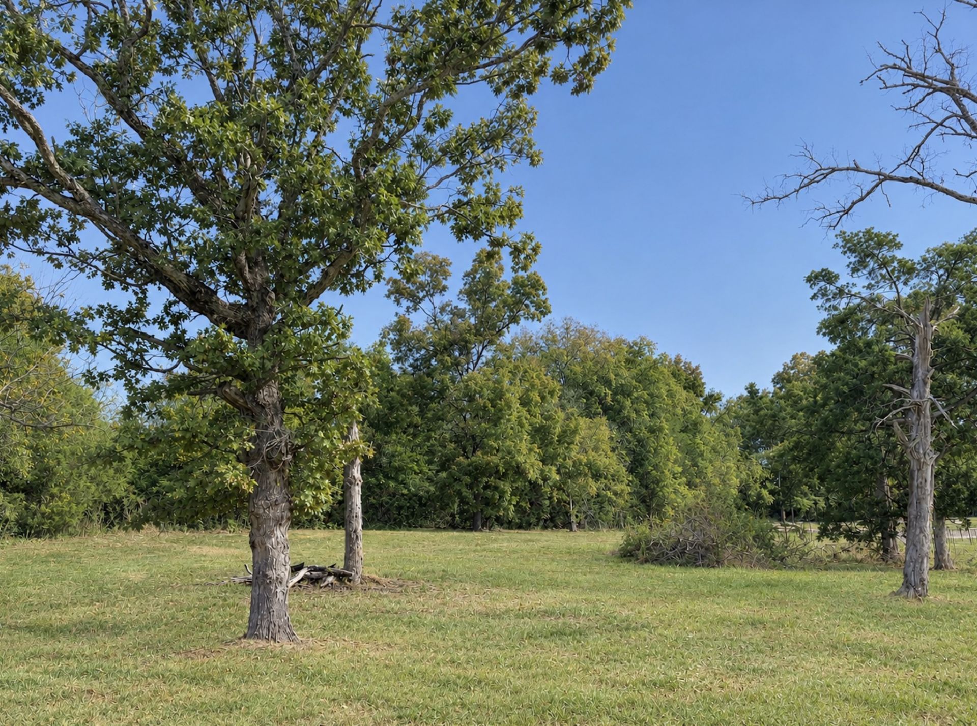 1132 Waller Rd, Brentwood, TN 37027 Main Photo