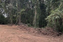 1364 Bon Air Dr  photo 4